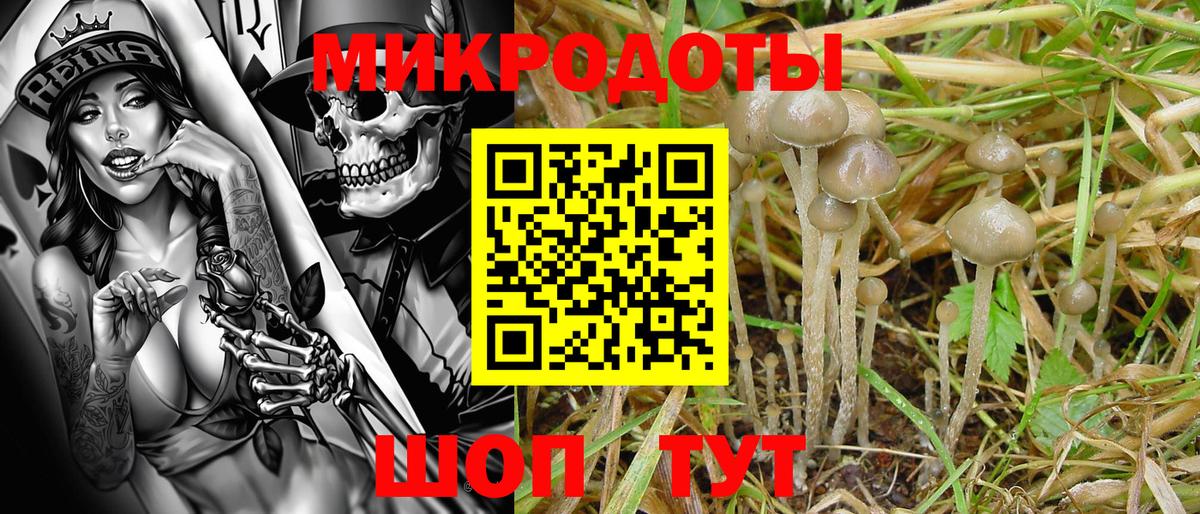 Псилоцибиновые грибы прущие грибы  Вход с VPN  Галлюциногенные грибы MAGIC MUSHROOMS  Новокузнецк 