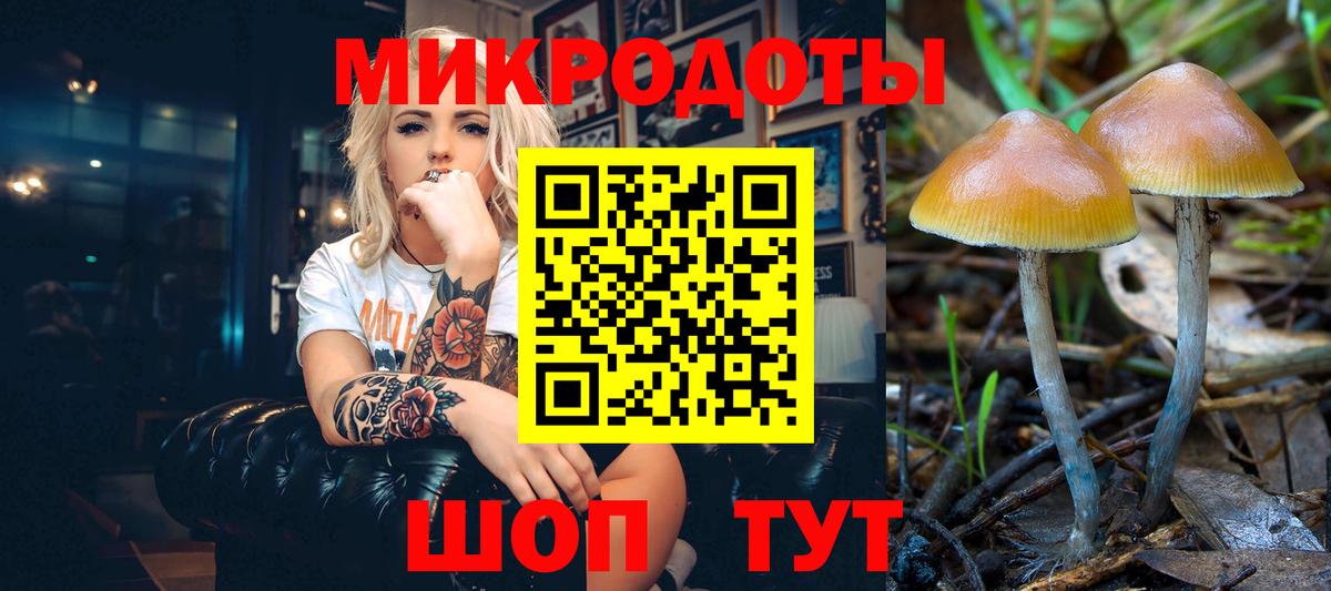 Псилоцибиновые грибы Magic Shrooms Новокузнецк